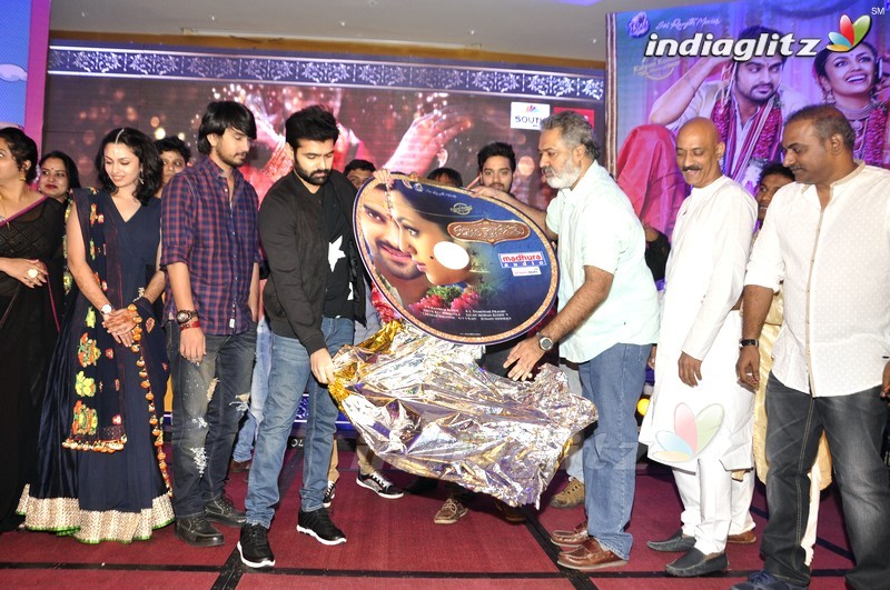 'Kalyana Vaibhogame' Audio Launch (Set-2)