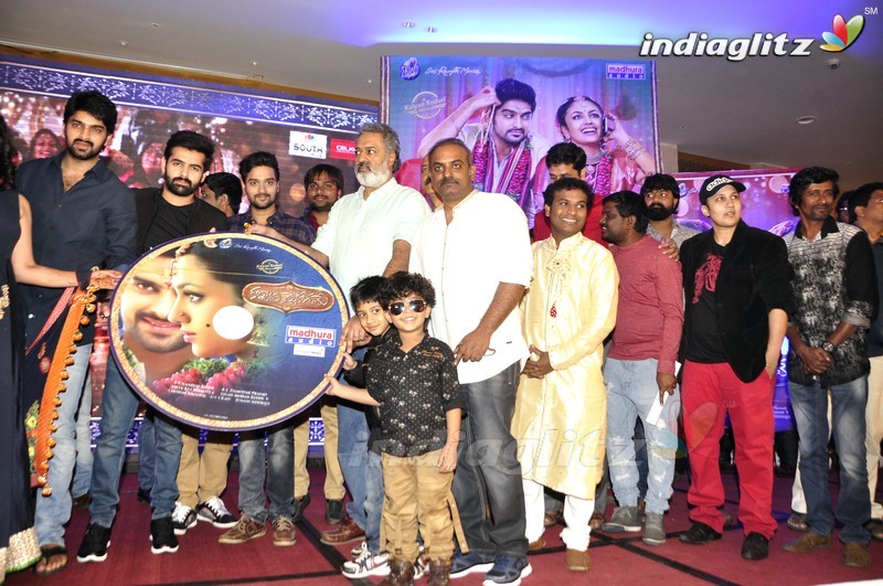 'Kalyana Vaibhogame' Audio Launch (Set-2)