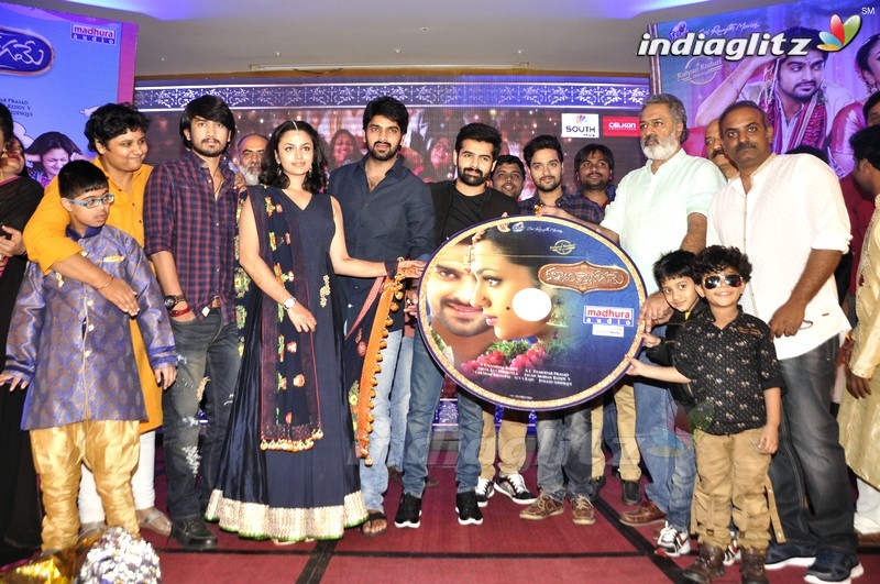 'Kalyana Vaibhogame' Audio Launch (Set-2)