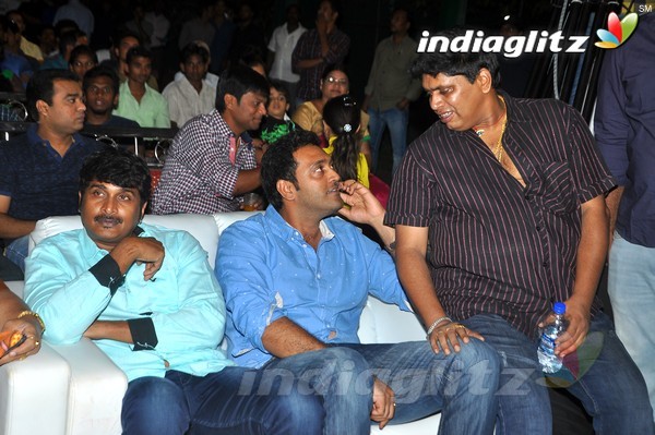 'Ketugadu' Audio Launch