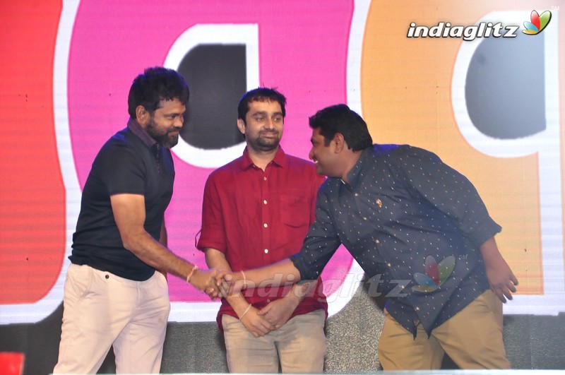 'Krishna Gadi Veera Prema Gaadha' Audio Launch (Set-2)