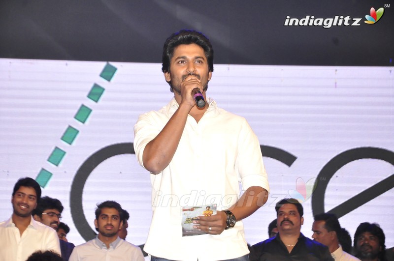 'Krishna Gadi Veera Prema Gaadha' Audio Launch (Set-2)