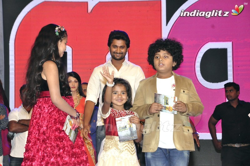 'Krishna Gadi Veera Prema Gaadha' Audio Launch (Set-2)