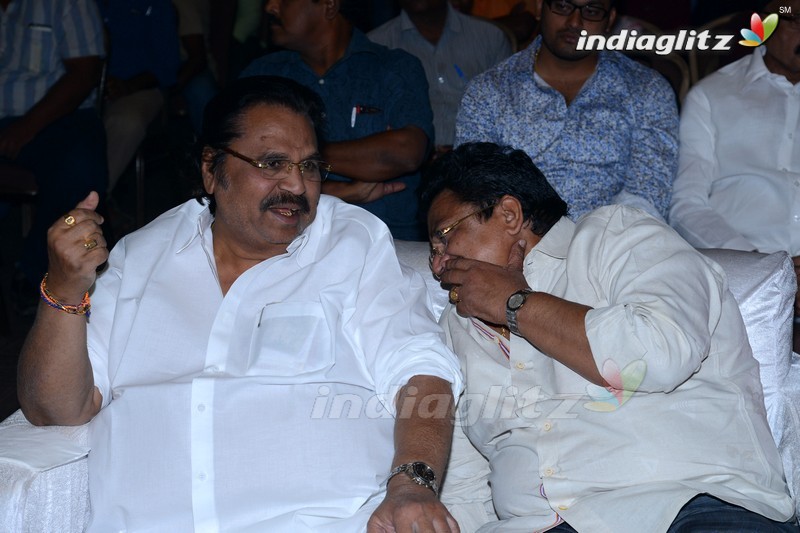 'Kotha Kothaga Unnadi' Audio Launch