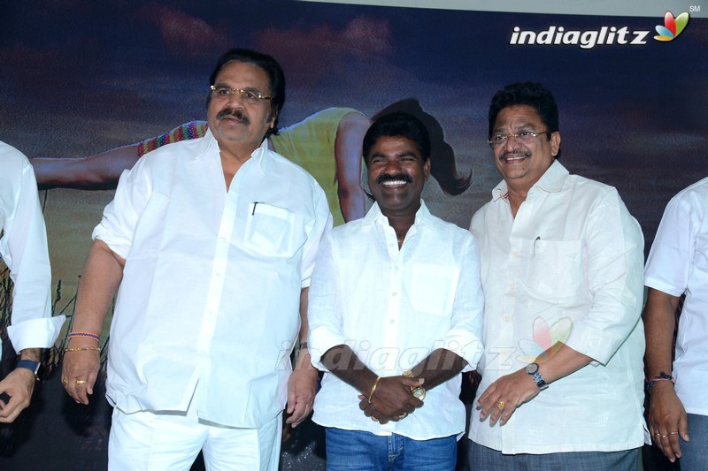 'Kotha Kothaga Unnadi' Audio Launch