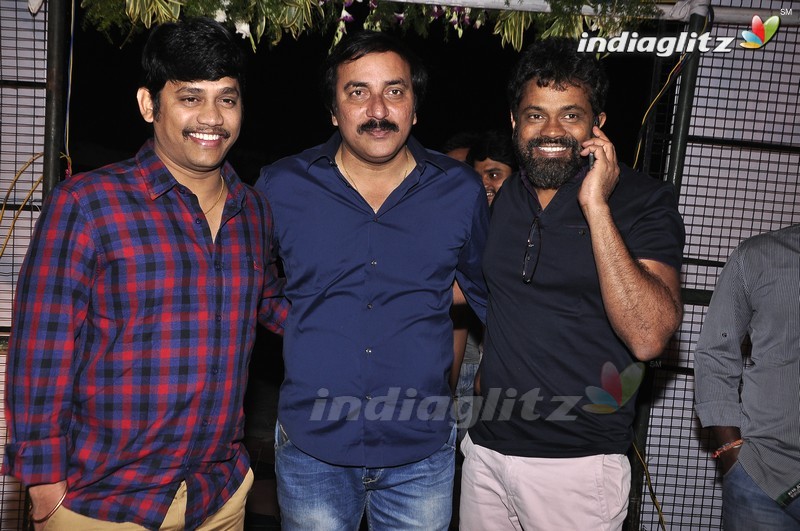 'Krishna Gadi Veera Prema Gaadha' Audio Launch (Set-1)