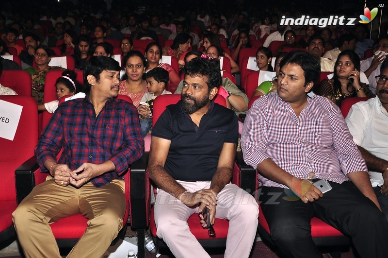 'Krishna Gadi Veera Prema Gaadha' Audio Launch (Set-1)