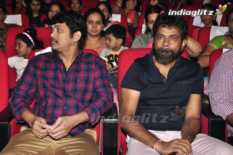 'Krishna Gadi Veera Prema Gaadha' Audio Launch (Set-1)