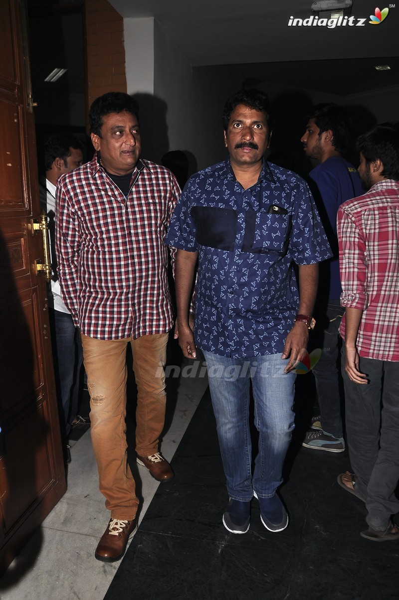 'Krishna Gadi Veera Prema Gaadha' Audio Launch (Set-1)