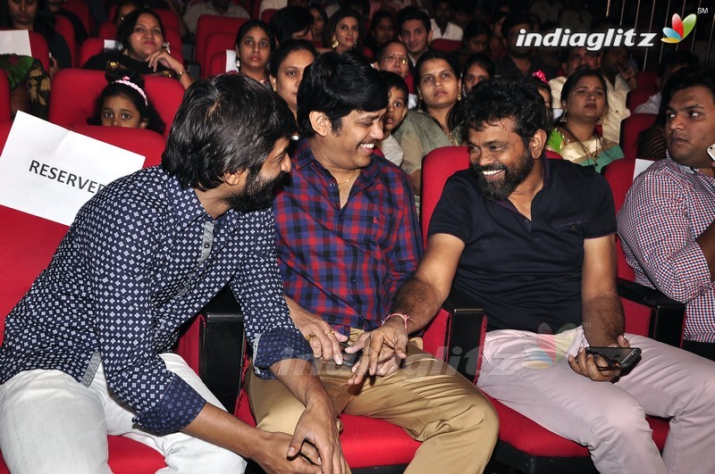 'Krishna Gadi Veera Prema Gaadha' Audio Launch (Set-1)