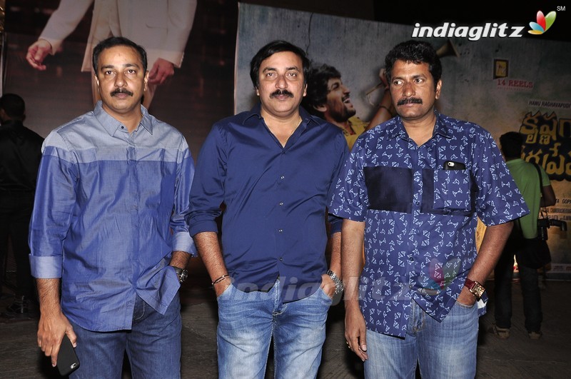 'Krishna Gadi Veera Prema Gaadha' Audio Launch (Set-1)