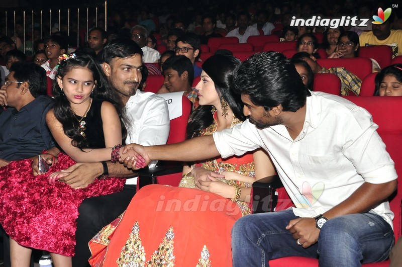 'Krishna Gadi Veera Prema Gaadha' Audio Launch (Set-1)