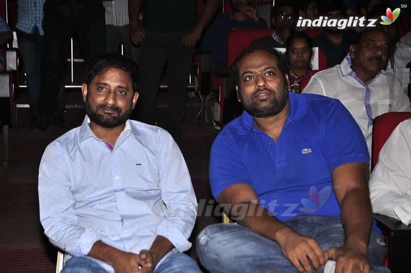 'Krishna Gadi Veera Prema Gaadha' Audio Launch (Set-1)