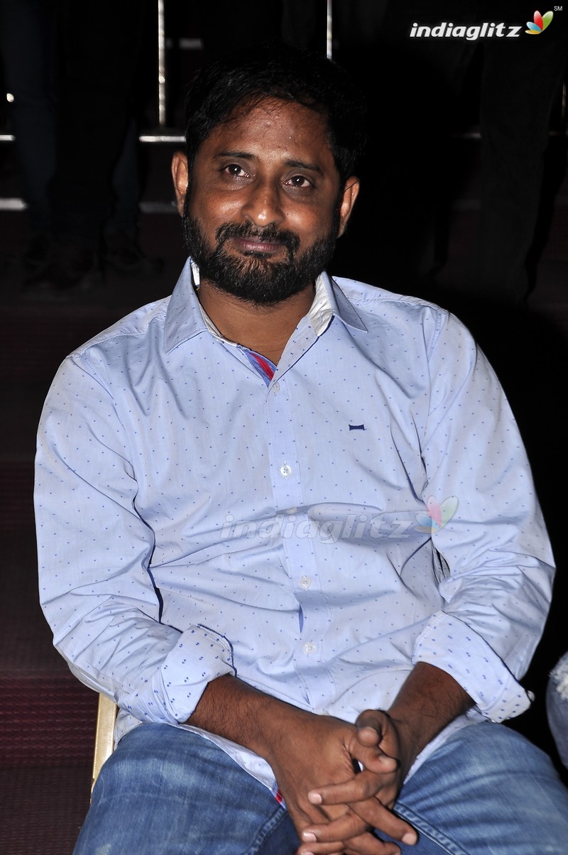 'Krishna Gadi Veera Prema Gaadha' Audio Launch (Set-1)