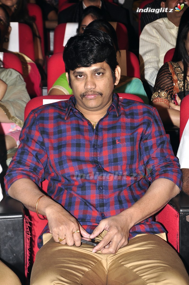 'Krishna Gadi Veera Prema Gaadha' Audio Launch (Set-1)