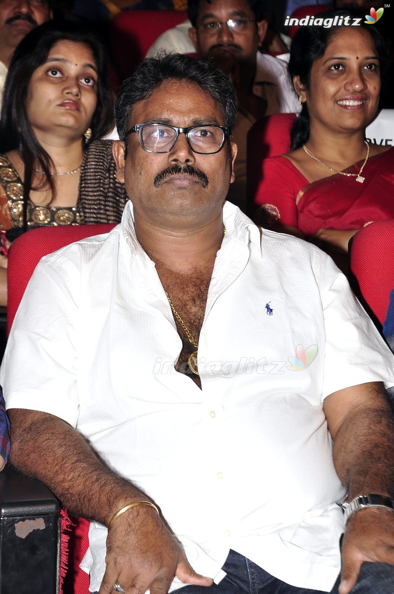 'Krishna Gadi Veera Prema Gaadha' Audio Launch (Set-1)