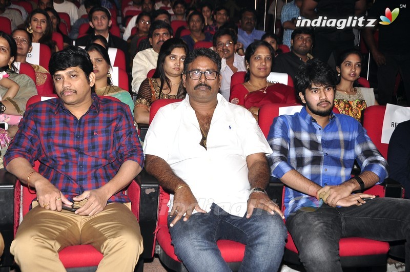 'Krishna Gadi Veera Prema Gaadha' Audio Launch (Set-1)