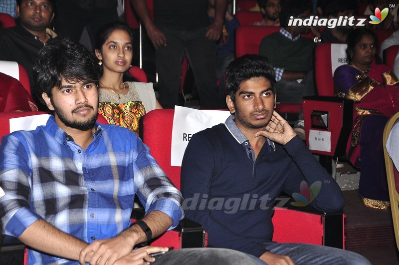 'Krishna Gadi Veera Prema Gaadha' Audio Launch (Set-1)