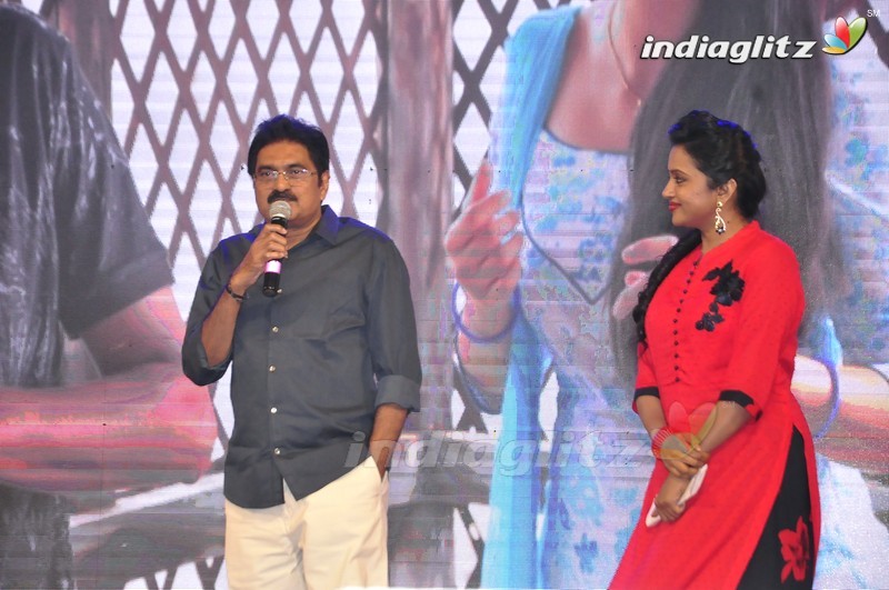 'Krishna Gadi Veera Prema Gaadha' Audio Launch (Set-1)