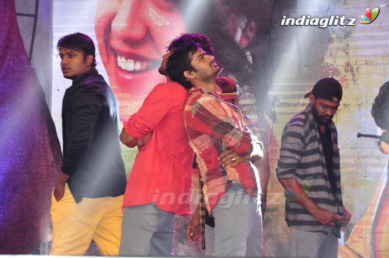 'Krishna Gadi Veera Prema Gaadha' Audio Launch (Set-1)