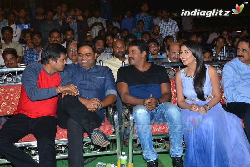 'Krishnashtami' Audio Launch (Set-2)