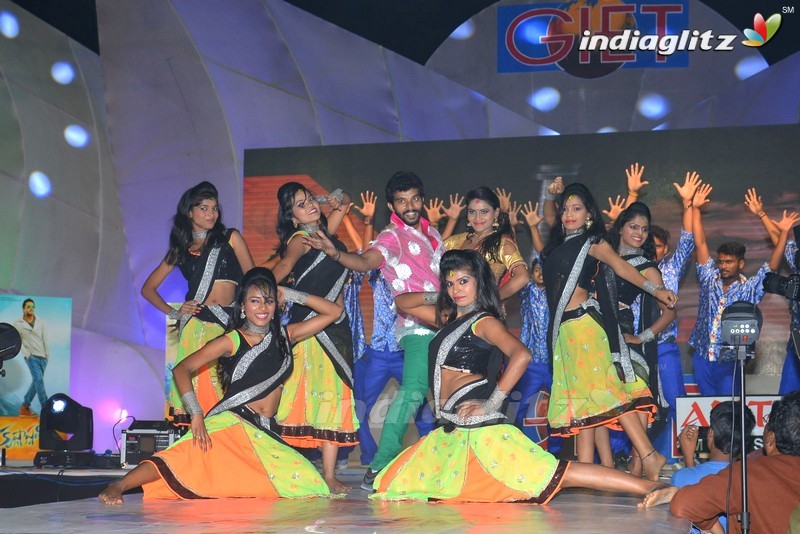 'Krishnashtami' Audio Launch (Set-2)