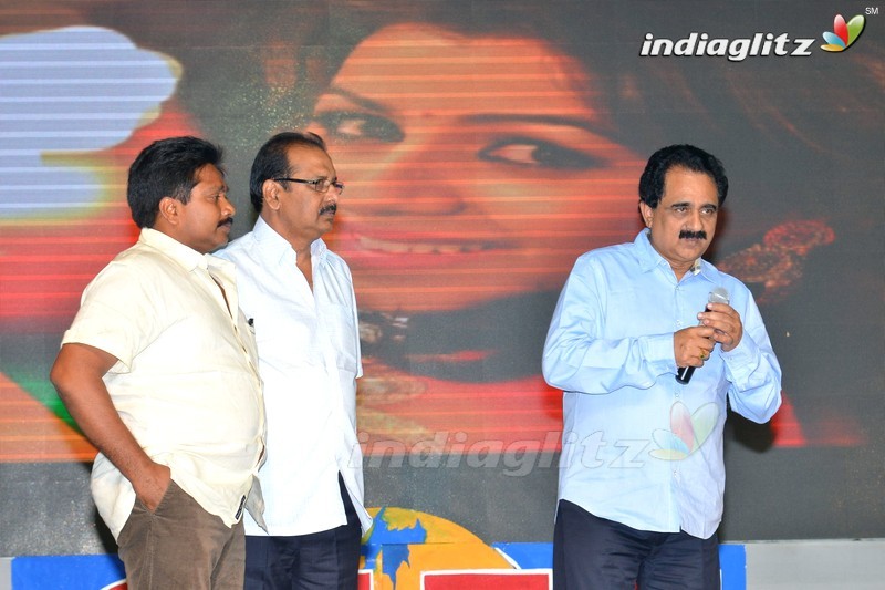 'Krishnashtami' Audio Launch (Set-2)