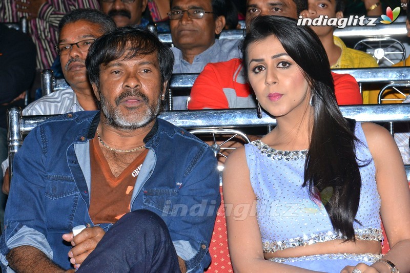 'Krishnashtami' Audio Launch (Set-2)