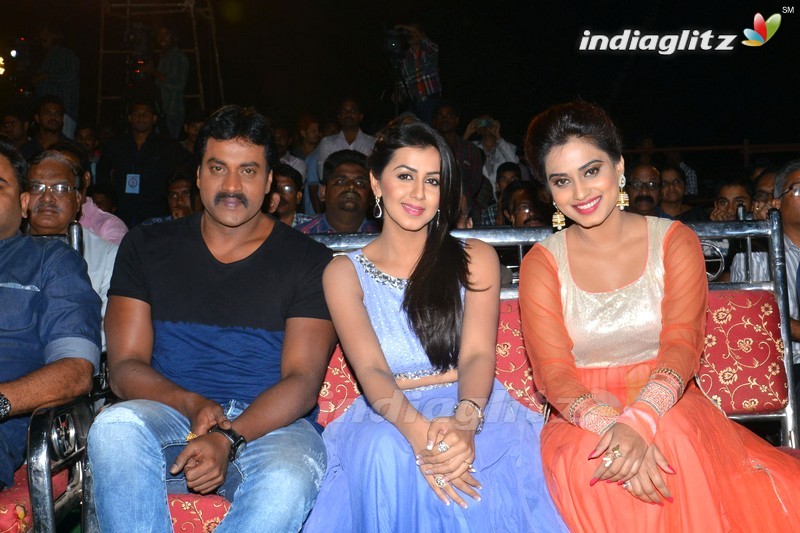 'Krishnashtami' Audio Launch (Set-2)