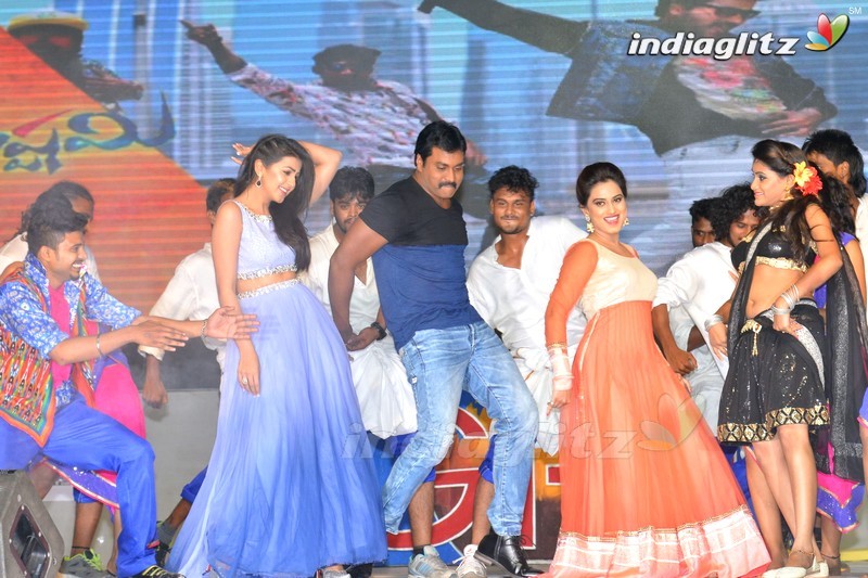 'Krishnashtami' Audio Launch (Set-2)