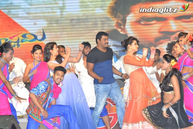 'Krishnashtami' Audio Launch (Set-2)