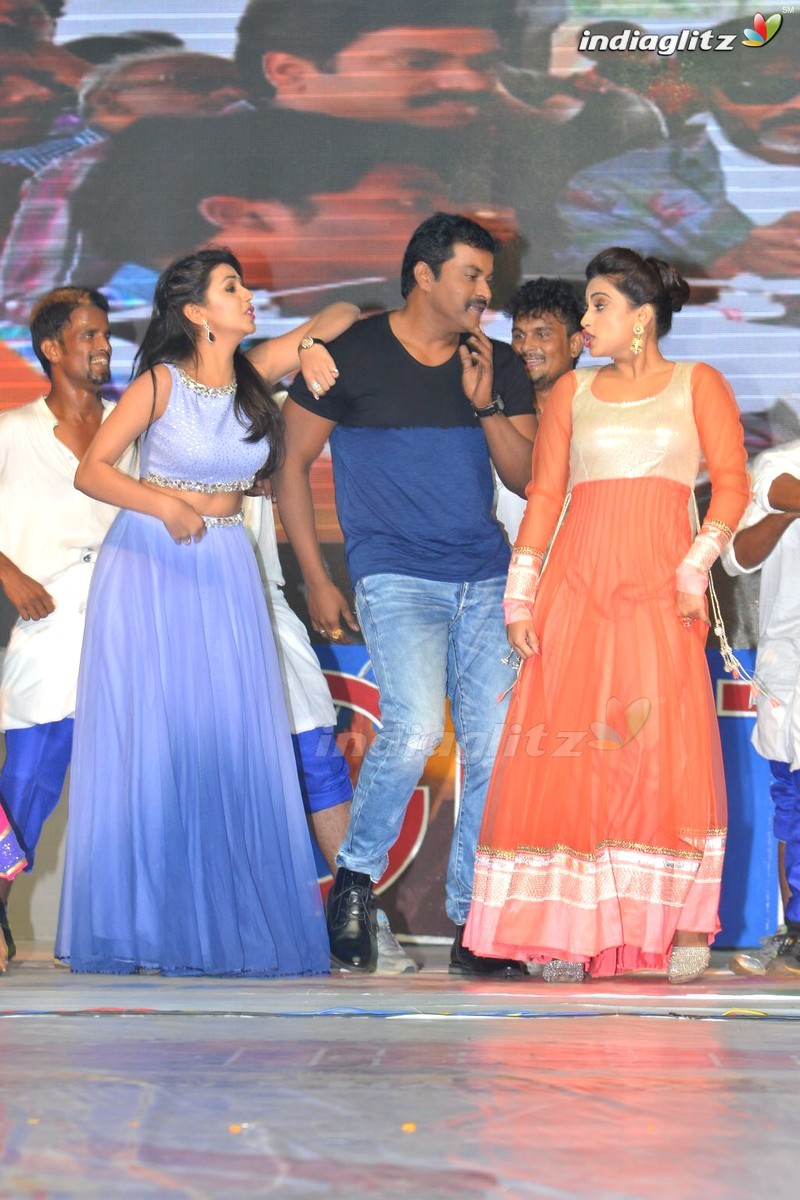 'Krishnashtami' Audio Launch (Set-2)