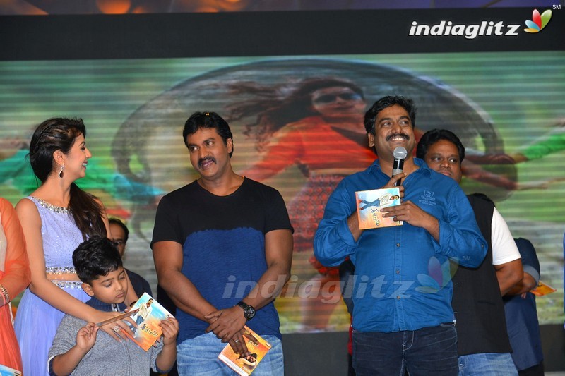 'Krishnashtami' Audio Launch (Set-2)