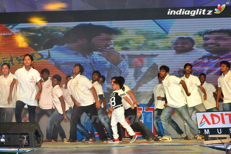 'Krishnashtami' Audio Launch (Set-1)