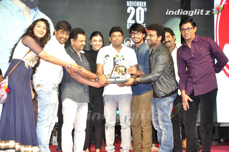 'Kumari 21F' Platinum Disc (Set-2)