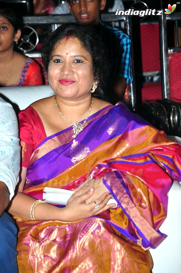 'Kundanapu Bomma' Audio Launch (Set-1)