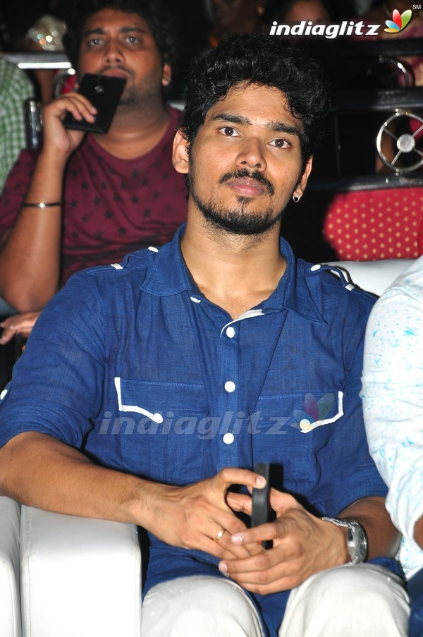 'Kundanapu Bomma' Audio Launch (Set-1)