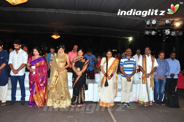 'Kundanapu Bomma' Audio Launch (Set-1)