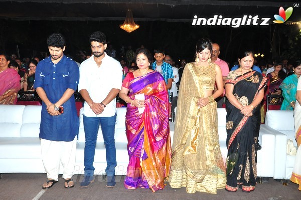 'Kundanapu Bomma' Audio Launch (Set-1)