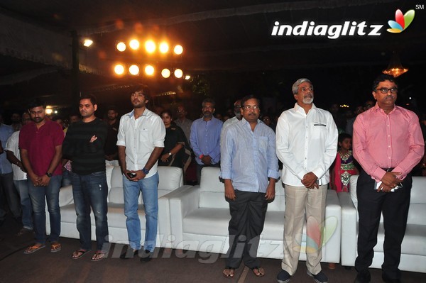 'Kundanapu Bomma' Audio Launch (Set-1)