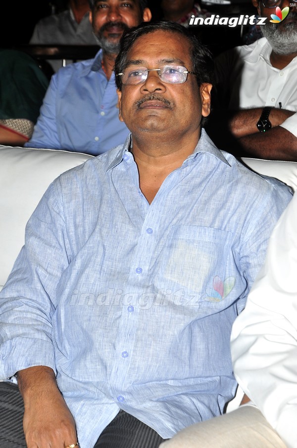 'Kundanapu Bomma' Audio Launch (Set-1)