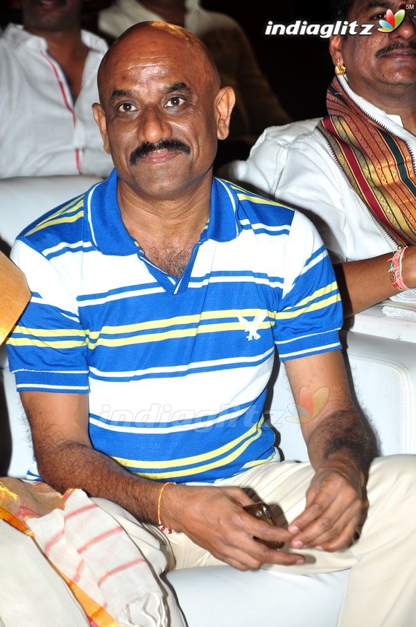 'Kundanapu Bomma' Audio Launch (Set-1)