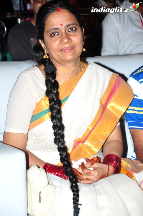 'Kundanapu Bomma' Audio Launch (Set-1)