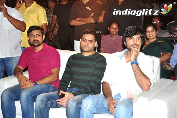 'Kundanapu Bomma' Audio Launch (Set-1)