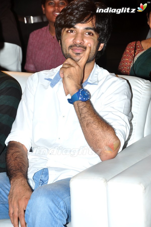 'Kundanapu Bomma' Audio Launch (Set-1)