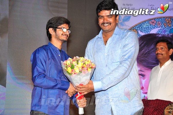 'Kundanapu Bomma' Audio Launch (Set-1)