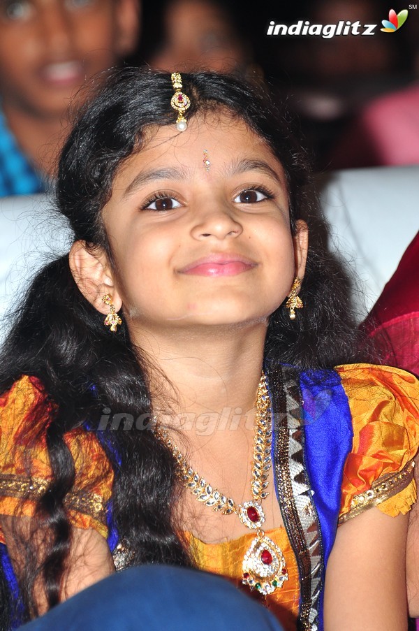 'Kundanapu Bomma' Audio Launch (Set-1)