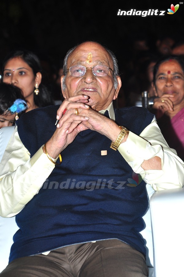 'Kundanapu Bomma' Audio Launch (Set-1)