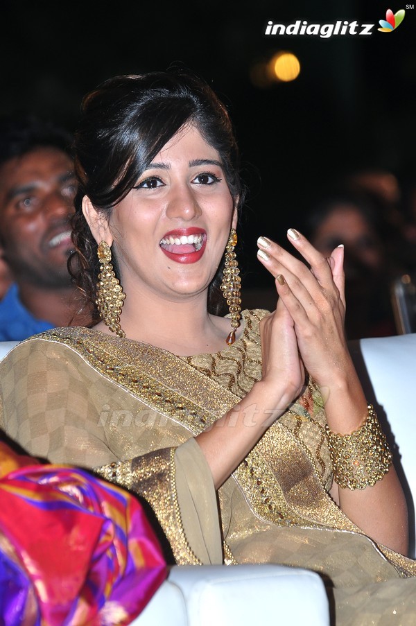 'Kundanapu Bomma' Audio Launch (Set-1)