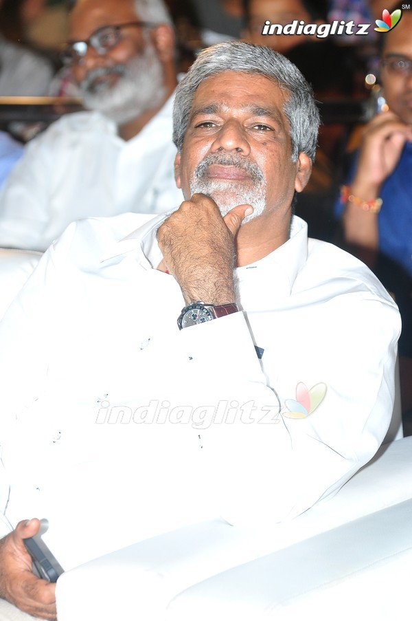 'Kundanapu Bomma' Audio Launch (Set-1)